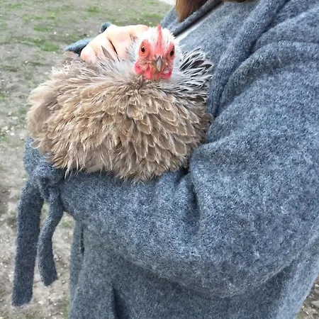 Les Myrrhophores Et Spa, D'hotes Et De Charme Panzió Abbeville