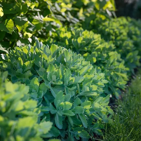 Les Myrrhophores Et Spa, D'hotes Et De Charme