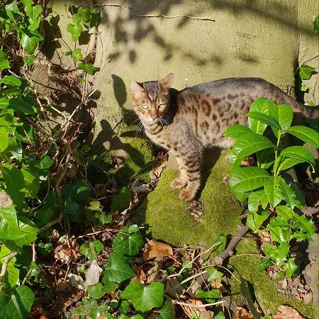 Les Myrrhophores Et Spa, D'hotes Et De Charme Panzió 4*