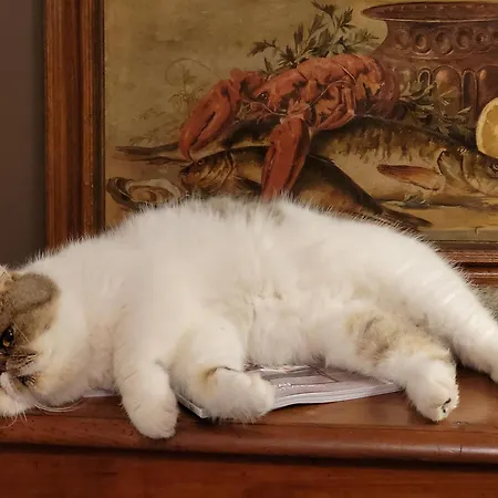 Les Myrrhophores Et Spa, D'hotes Et De Charme