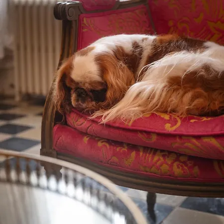 Bed & Breakfast Les Myrrhophores Et Spa, D'hotes Et De Charme