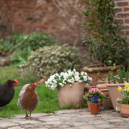 Les Myrrhophores Et Spa, D'hotes Et De Charme Bed & Breakfast Abbeville