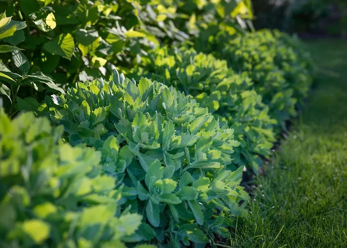 Les Myrrhophores Et Spa, D'hotes Et De Charme